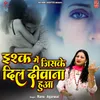 Ishq Mein Jiske Dil Diwana Hua